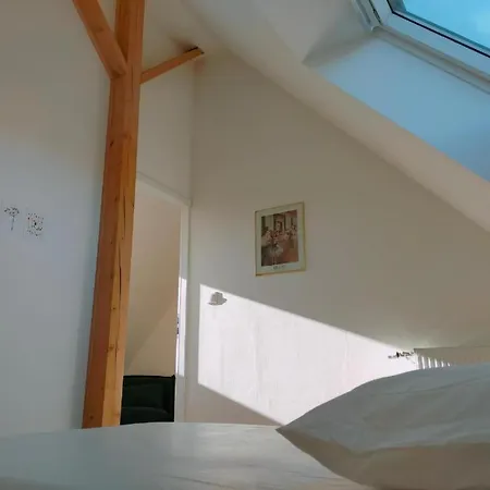 Guest house Des 3 Cigognes Colmar